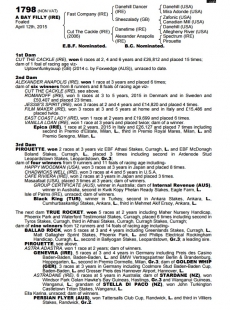 fast company x cut the cackle foal breeding