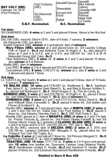 fast company x six diamonds foal breeding