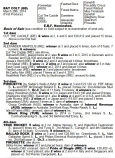 foxwedge x cut the cackle foal breeding